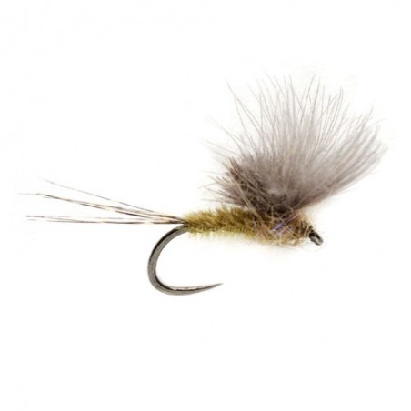 McPhail CdC Olive