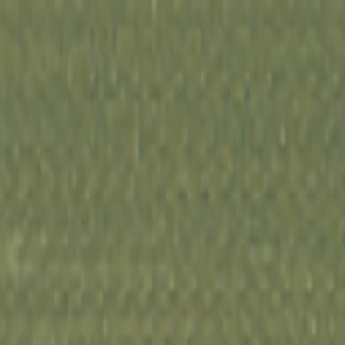 Rayon Madeira nº40 50m 1156
