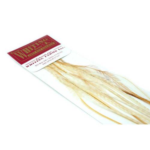 Whiting 100 pk unique variant