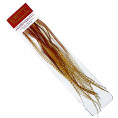 Whiting 100 pk medium ginger