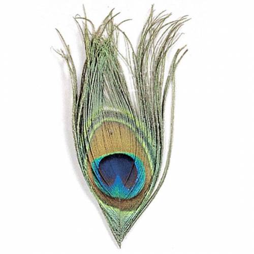 Oeil De Paon Naturel JMC