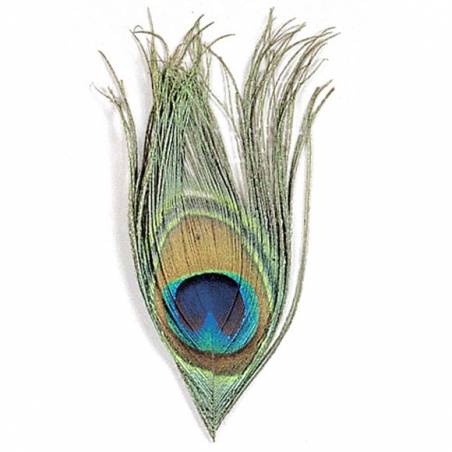 Oeil De Paon Naturel JMC