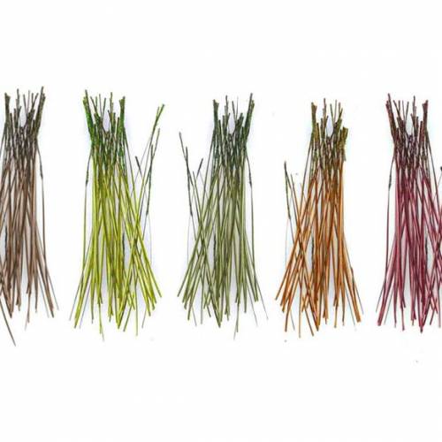 Royal Quill JMC
