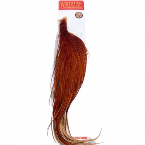 Whiting Bronze 1/2 Cape brown