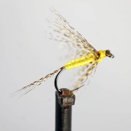 Amarillo Limon