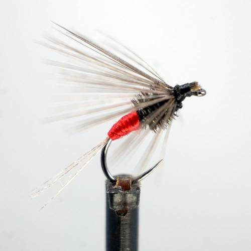 Falangista
