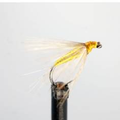Oliva Dorado