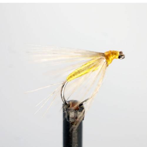 Oliva Dorado
