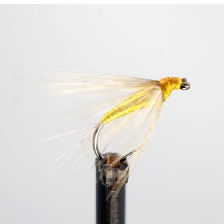 Oliva Dorado
