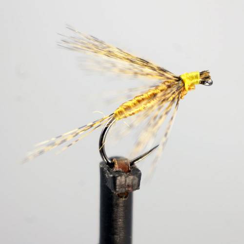 Oro viejo