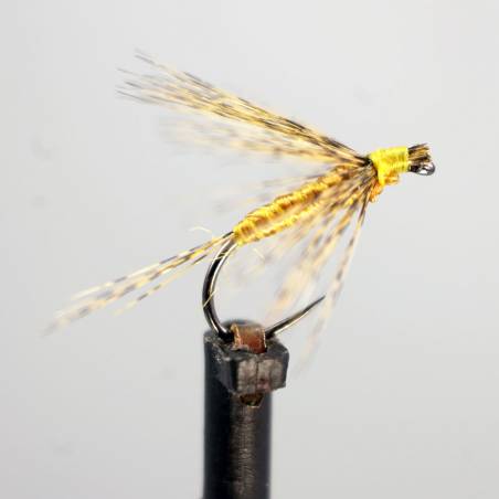 Oro viejo