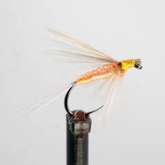 Salmon Indio