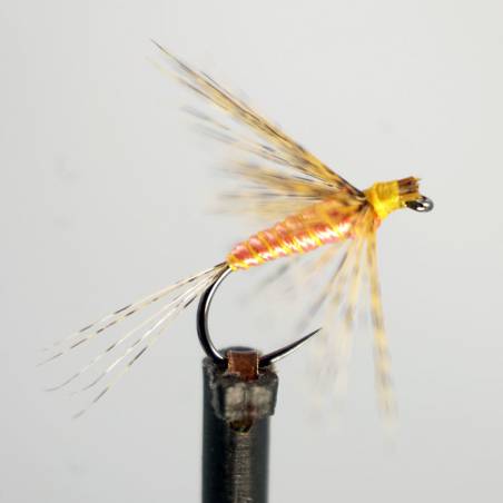 copy of Salmon Indio