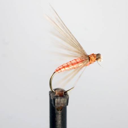 Salmonin