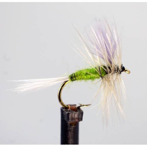 BWO