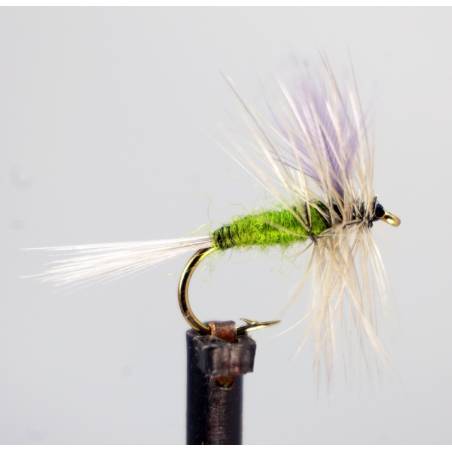 BWO