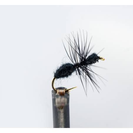 Black Ant