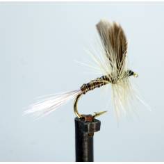 Blue Quill