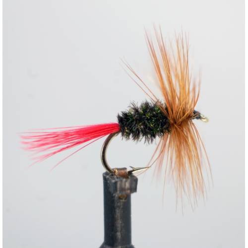 Brown Hackle Peacook