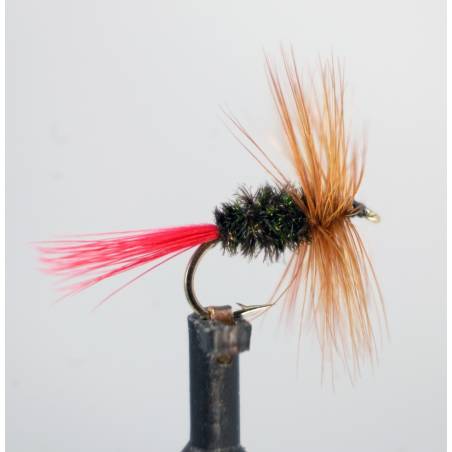 Brown Hackle Peacook