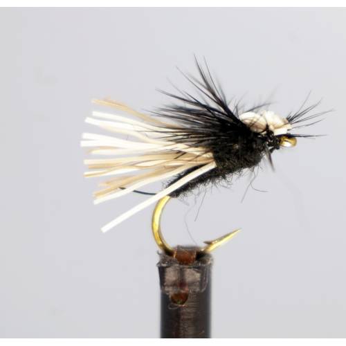 Davis BLACK W