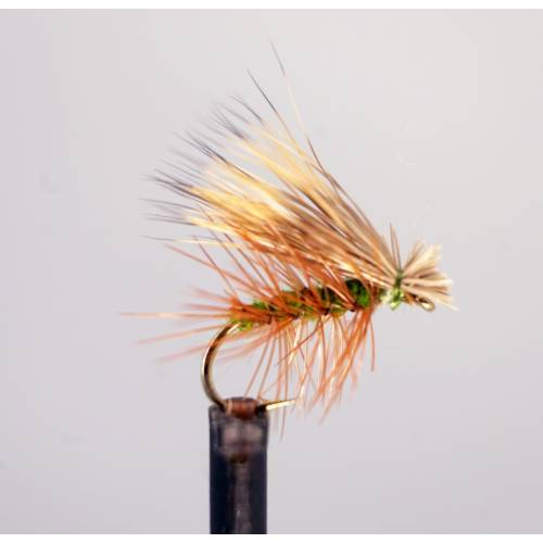 Elk Wing Olive