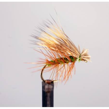 Elk Wing Olive