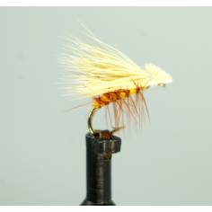 Elk Wing Orange