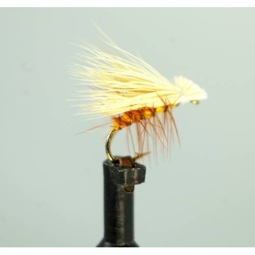 Elk Wing Orange