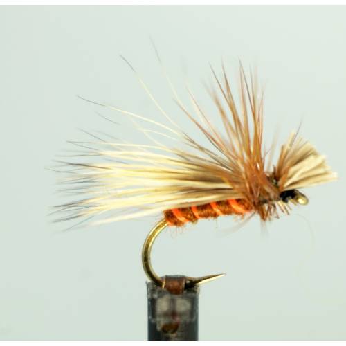 Fiery Drop Sedge