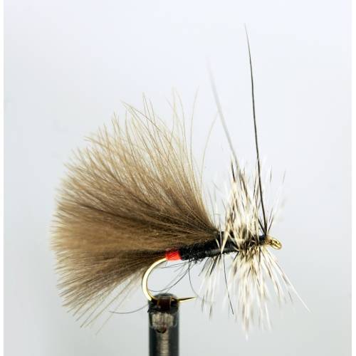 Sedge High Rider CDC black