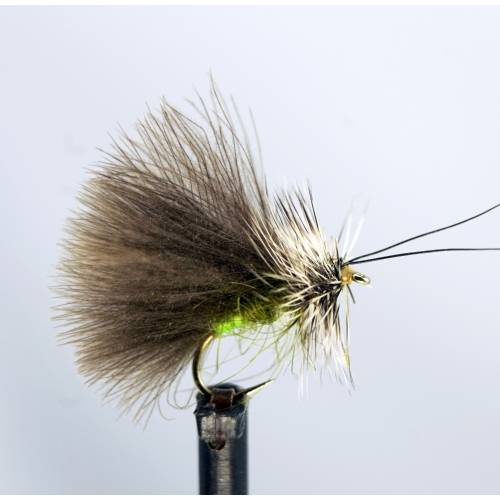 Sedge High Rider CDC olive