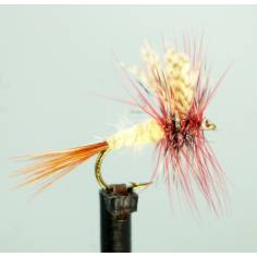 March Brown