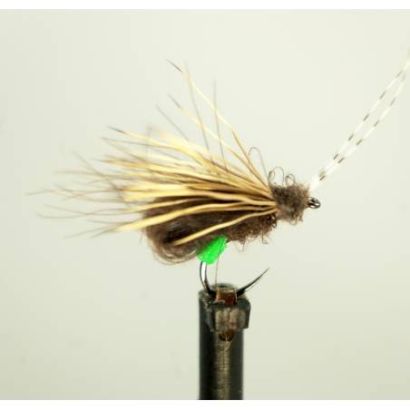 McPhail BWC Grannom