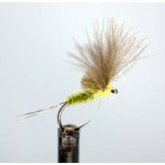 McPhail CdC Olive