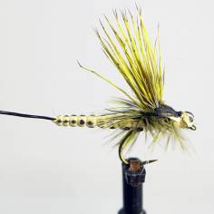 Mohican May