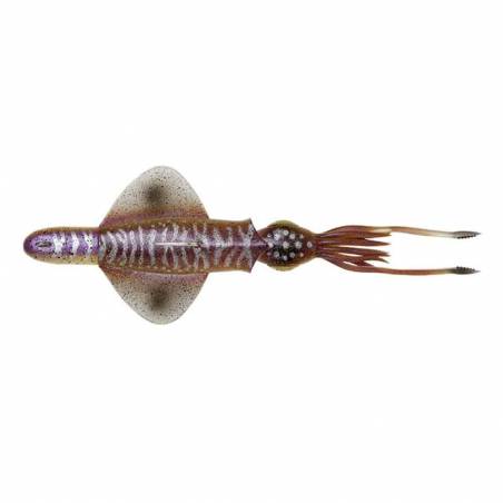 SWIM SQUID RTF 25CM 200GR S CUTTLEFISH