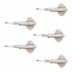 SWIM SQUID LRF 5CM 0.8G CUTTLEFISH 5PCS