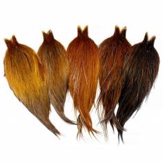 Heritage Rooster Cape brown variant