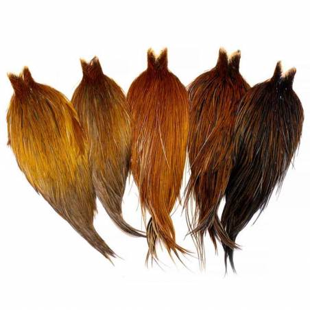 Heritage Rooster Cape brown variant