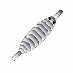 Pro Gammarus Shell Back black