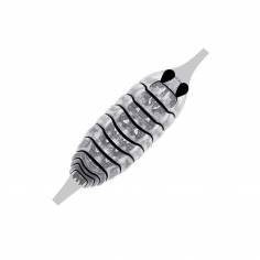 Pro Gammarus SW Saltwater Shellback clear