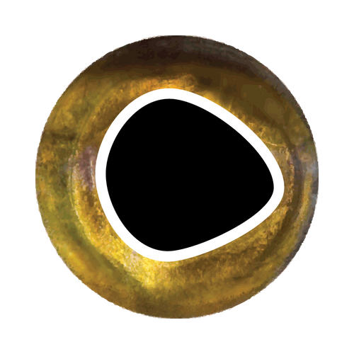 Pro Cool Eyes golden