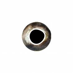 Pro Cool Eyes silver
