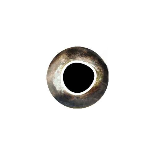Pro Cool Eyes silver