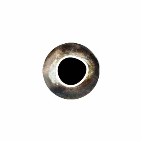 Pro Cool Eyes silver