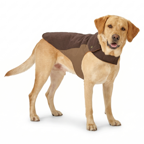 Orvis Field collection dog coat