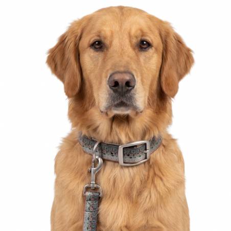 Salty Dog Collar