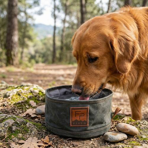 Bow Wow Travel Water Bowl