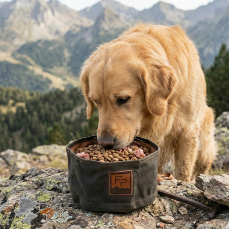 Bow Wow Travel Food Bowl